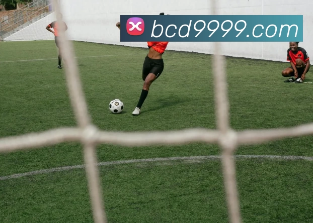 bc贷官网APP 封面图